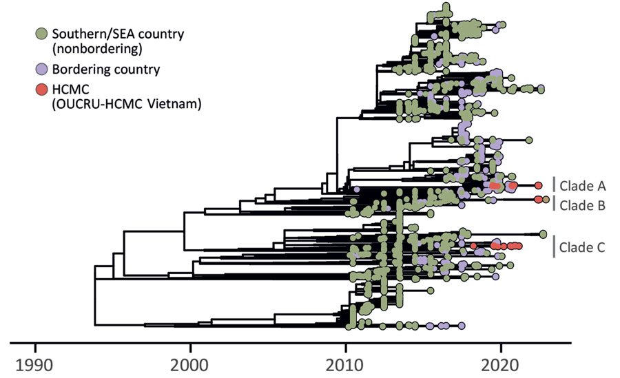 Time-scaled phylogenetic tree of the DENV-2 Cosmopolitan genotype from 1990 to the early 2020s, with Ho Chi Minh City sequences in red falling into three clades labelled A, B and C
