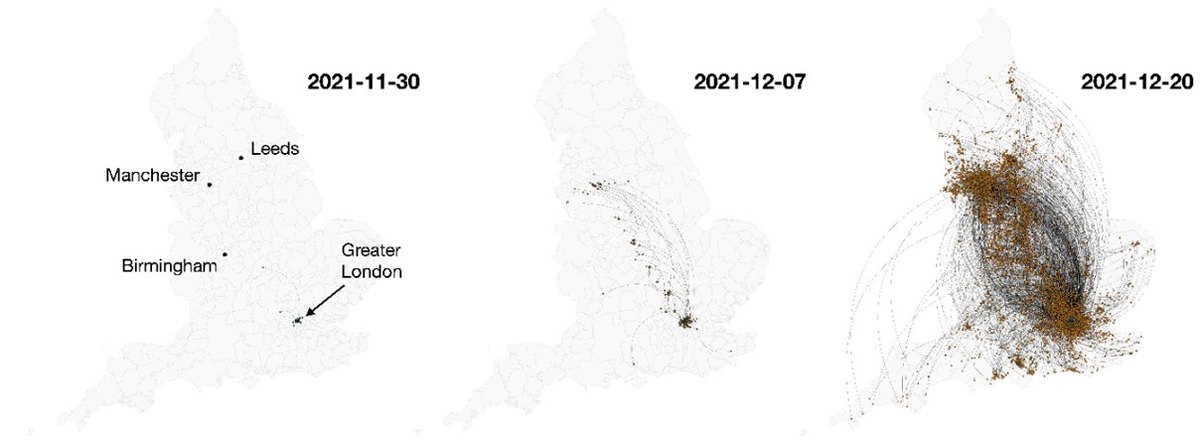 Three maps of England on 30 November, 7 December and 20 December 2021, showing an Omicron transmission lineage starting in Greater London and spreading across the country